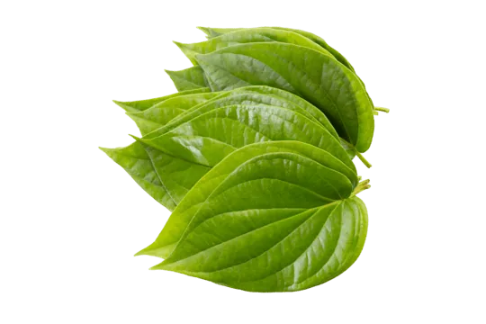 Daun sirih